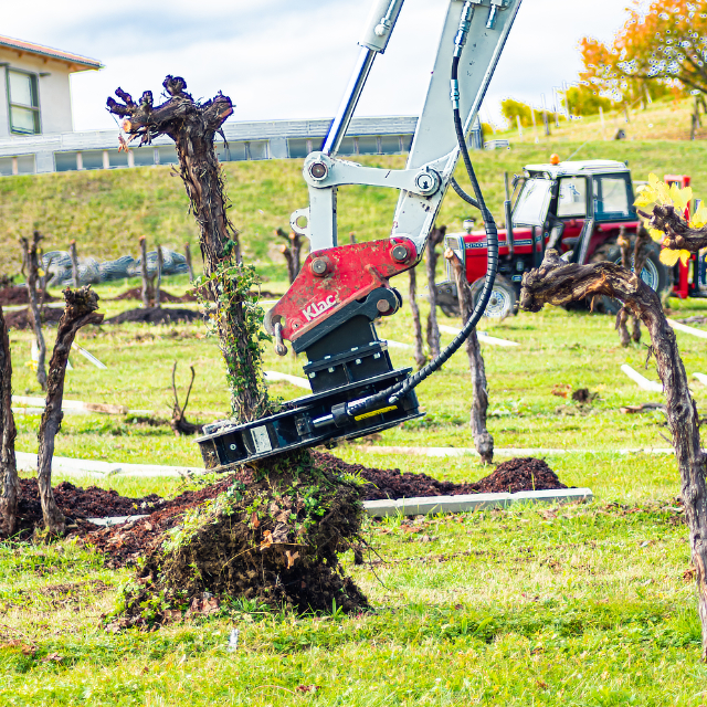 pinza pianta estirpa pali dalmasso