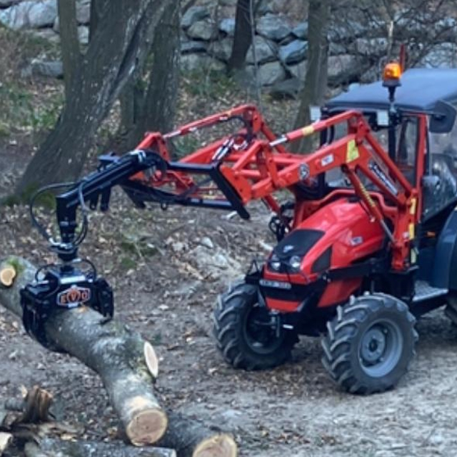 Prolunga forestale su Same con tronco