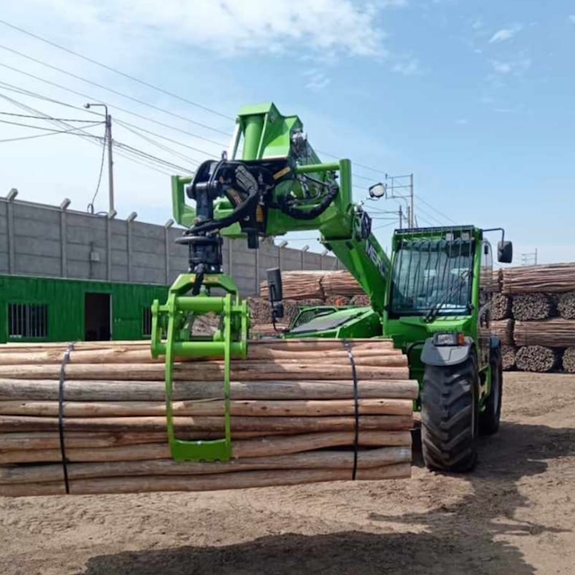 Prolunga forestale con pinza su merlo con tronchi